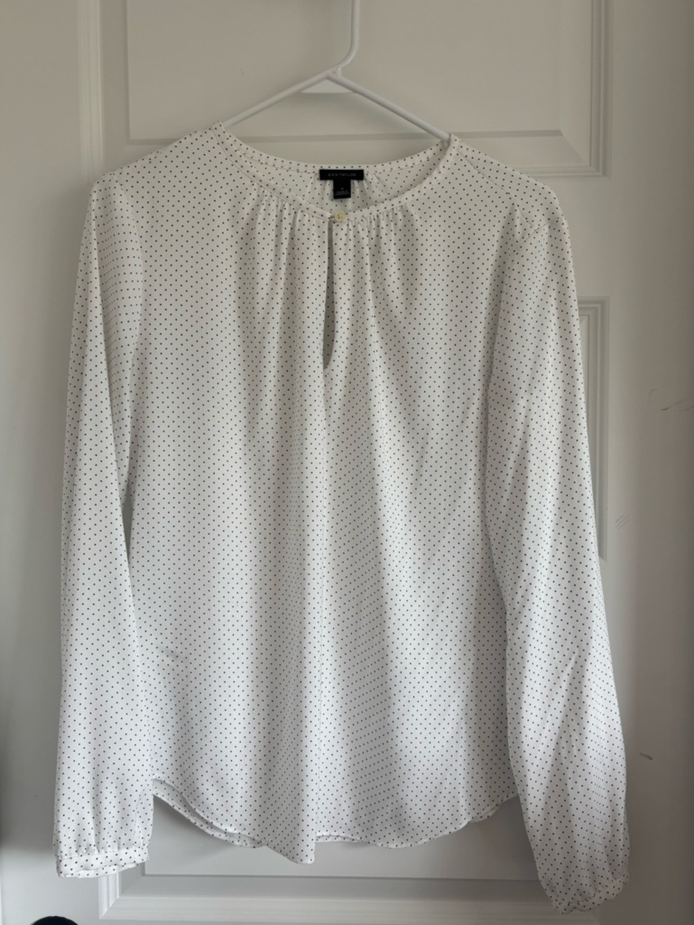 Ann Taylor Polka Dot Blouse
